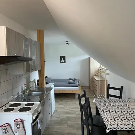 Apartament Ubytovani Spicacka Ap2